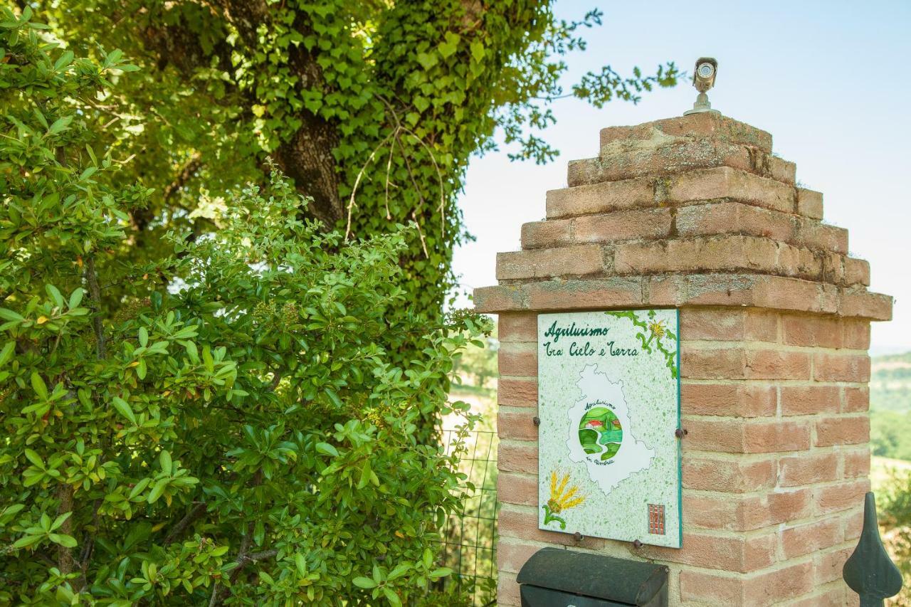 Апартаменты Agriturismo Bio Tra Cielo E Terra Grutti Экстерьер фото